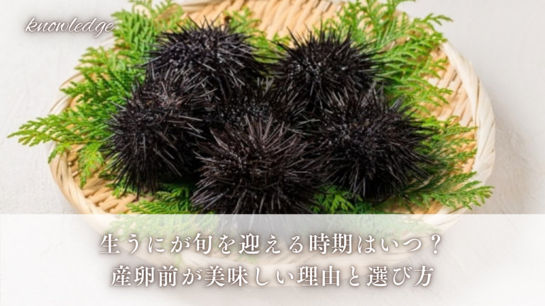 生うにが旬を迎える時期はいつ？産卵前が美味しい理由と選び方