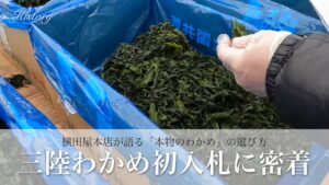 三陸わかめ初入札に密着|横田屋本店が語る「本物のわかめ」の選び方