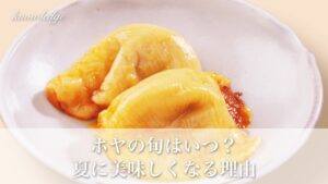 ホヤの旬はいつ?三陸産は初夏から秋、夏に美味しくなる理由
